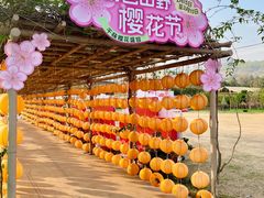 -盈香心动乐园