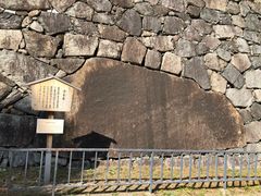 -名古屋城