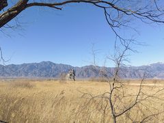 -野鸭湖国家湿地公园