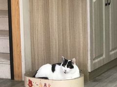 -派特宠物医院(海岸城店)