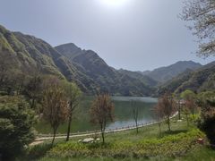 -秦岭终南山世界地质公园翠华山景区