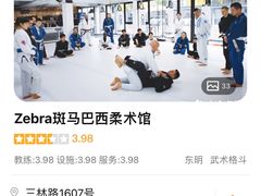 -勇气斑马·巴西柔术&跆拳道(浦东三林店)