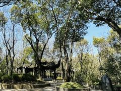 -上海佘山国家森林公园天马山园