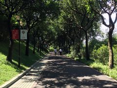 -云溪植物园
