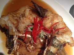 鱼-苏浙总会(国金中心店)