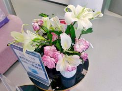 -联合丽格·张菡丽格医疗美容