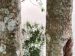 -海口观澜湖火山温泉谷