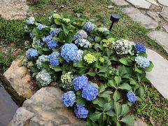 -云溪植物园