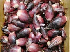 -银生食府·普洱菜(金星店)