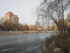 -文瀛公园