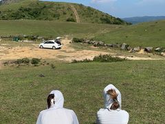 -大姆山草场