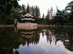 -习家池