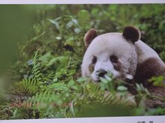 -西安电影制片厂