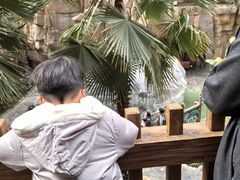 -杭州开元森泊度假乐园
