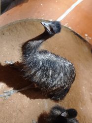 -Zoolung Zoolung动物主题公园(海信广场店)