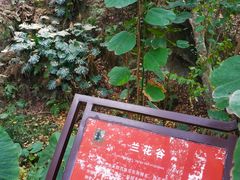 -乌山风景区