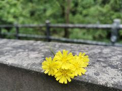 -宁波五龙潭景区