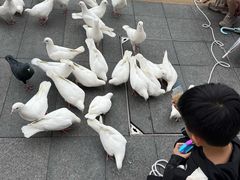 -茶百道(南浦里店)