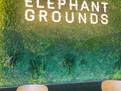 -大象园ELEPHANT GROUNDS(万象天地店)