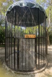 -优沃得自然教育农场·冰雪乐园·生日会·研学