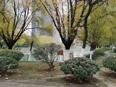 -天鹅湖体育公园