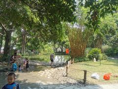 -成都市活水公园