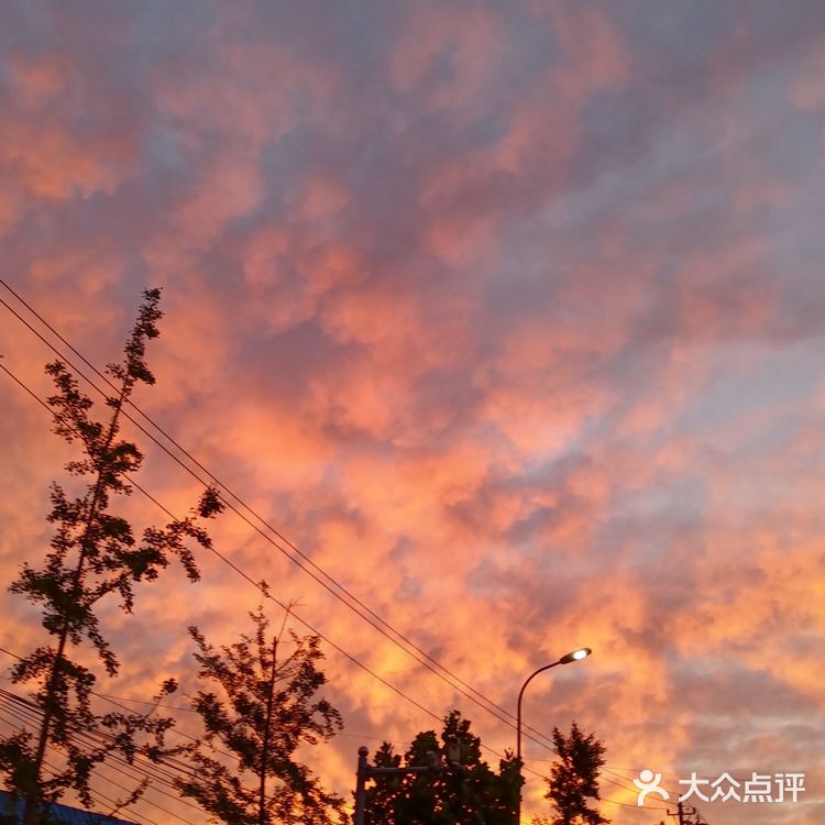 老妈今天早上拍的美丽的朝霞[愉快][强]