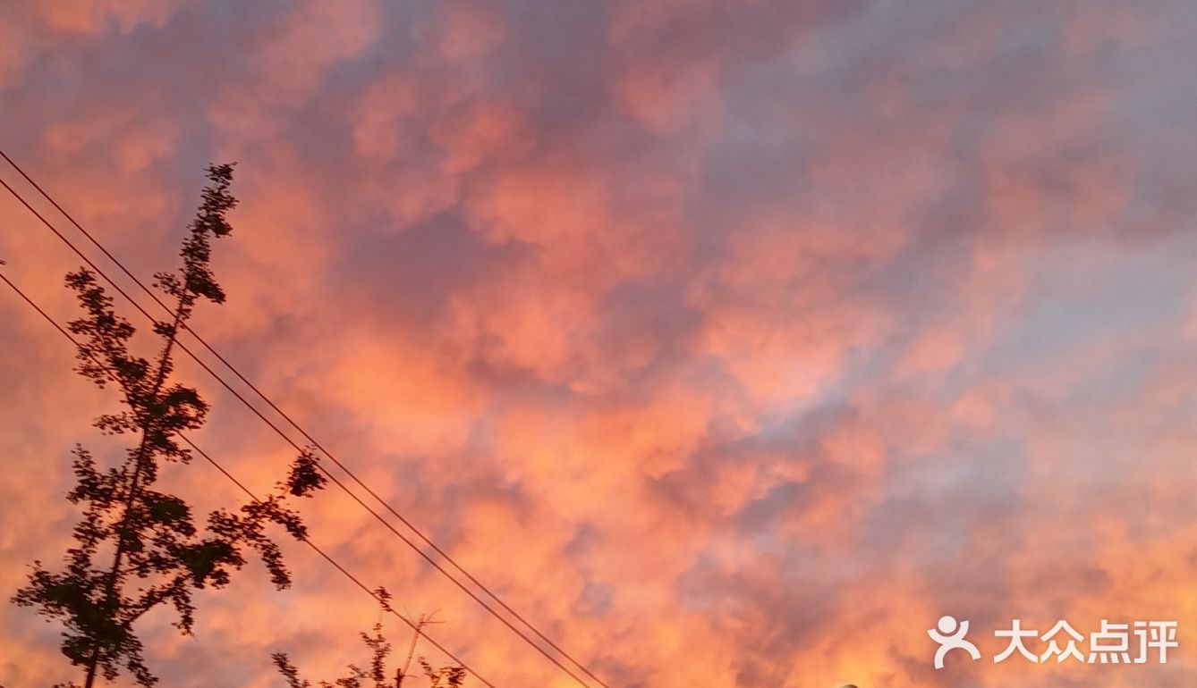 老妈今天早上拍的美丽的朝霞[愉快][强]