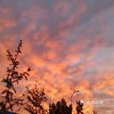 老妈今天早上拍的美丽的朝霞[愉快][强]