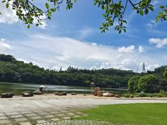 -深圳仙湖植物园