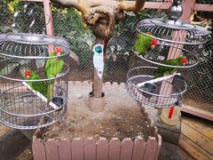 -南宫五洲植物乐园