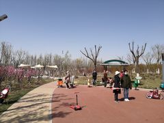 -天津东丽湖风景区