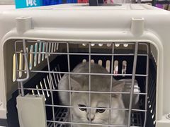 -佳雯宠物医院·皮肤科·内外科(春晓路分院)