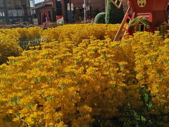 -汉堡王(砂之船店)