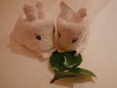 -天目湖御水温泉·度假酒店