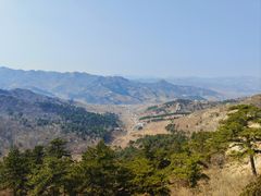 -大芦花风景区