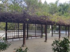 -深圳国际园林花卉博览园