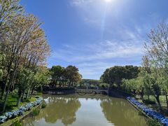 -上海鲜花港