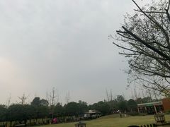 -洪湖家庭农场·团建·露营·会议