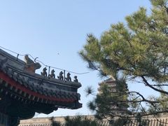 -西海子公园