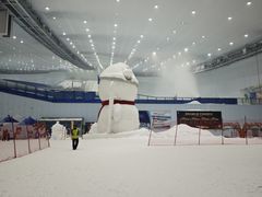 -哈尔滨热雪奇迹