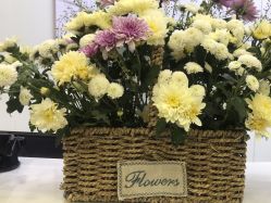 -YESIDO BLACK椰岛造型