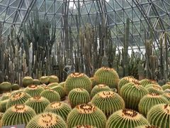 -深圳仙湖植物园