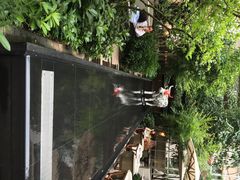 璞丽酒店-上海璞麗酒店