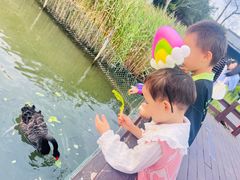 -五缘湾湿地公园