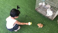 -萌宠亲子动物乐园(槐房万达店)