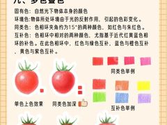 -八哥美术·成人美术画室(总校区)