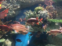 -福州罗源湾海洋世界旅游区