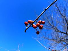 -蟠龙山长城景区
