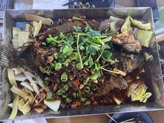 -眼镜哥浦江夜宵大本营